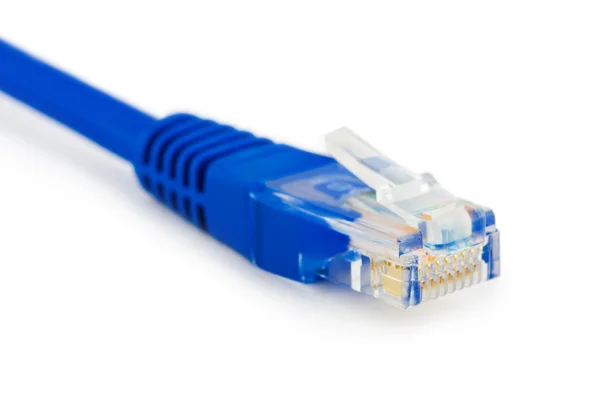Cable de Internet — Foto de Stock