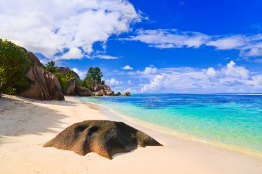 Beach Source d'Argent at Seychelles clipart