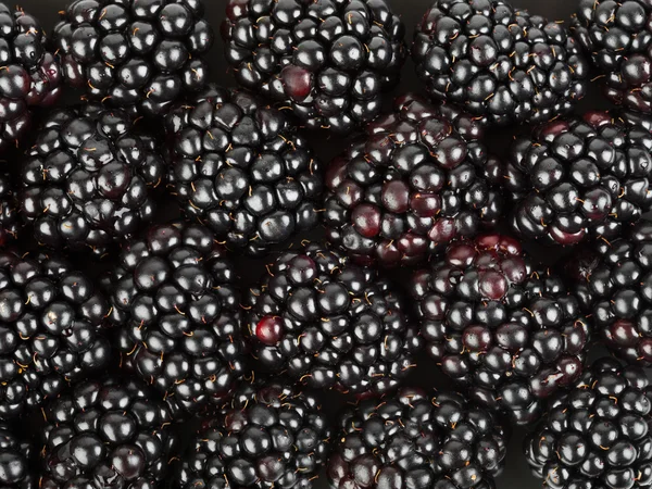 Blackberry background — Stock Photo, Image