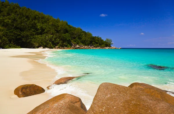 Spiaggia tropicale sull'isola di Praslin, Seychelles — Foto Stock