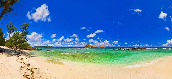 Panorama över tropiska stranden i Seychellerna — Stockfoto