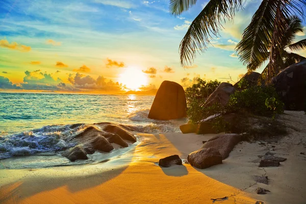 Tropischer Strand bei Sonnenuntergang Stockbild