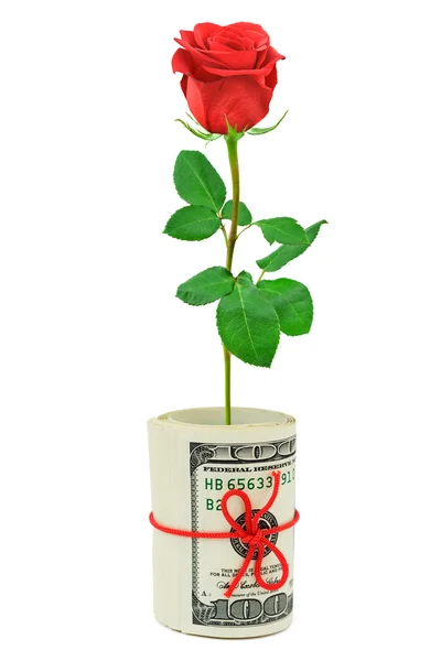 Roll van geld en bloem — Stockfoto
