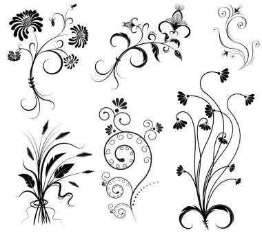 Vector floral decoration on white.Black graphic elements clipart