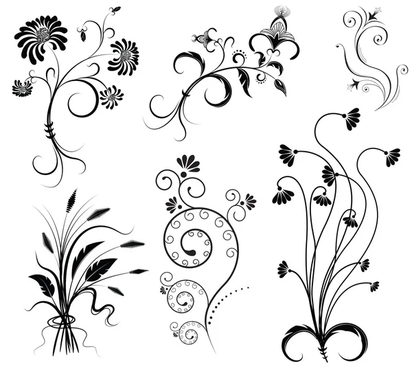 Vector floral decoration on white.Black graphic elements — Stock Vector