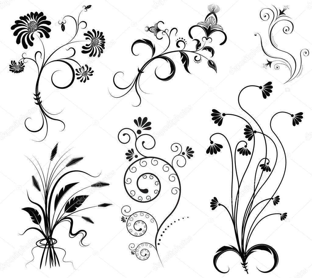Vector floral decoration on white.Black graphic elements
