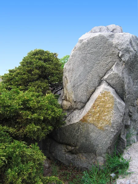 Piedra grande natural en el parque verde.Ukraine — Foto de Stock
