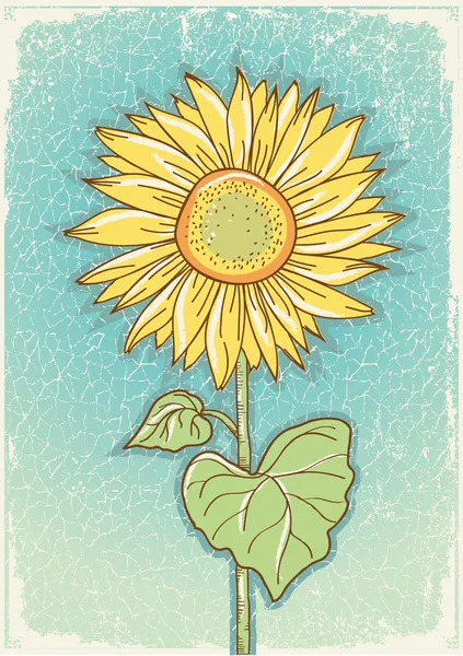Sunflower .Vector vintage postcard with grunge elements — Stock Vector