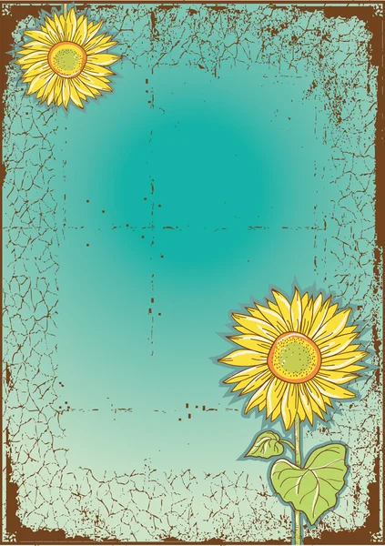 Sunflowes .Cartolina vettoriale vintage con elementi grunge — Vettoriale Stock