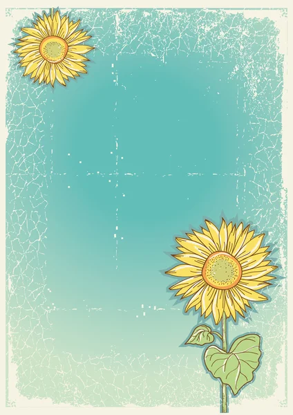 Sunflowes .Vector carte postale vintage avec éléments grunge — Image vectorielle