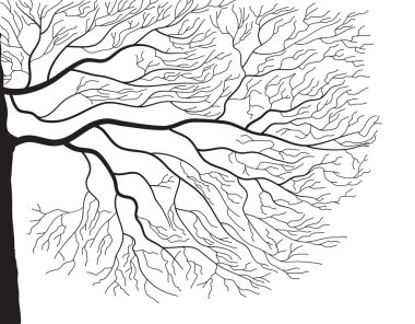 Tree silhouette on white clipart