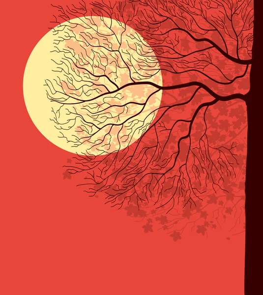 Akşam gökyüzü altındaki ağacı — Stok Vektör
