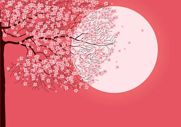 Tekoucí strom sakura — Stockový vektor