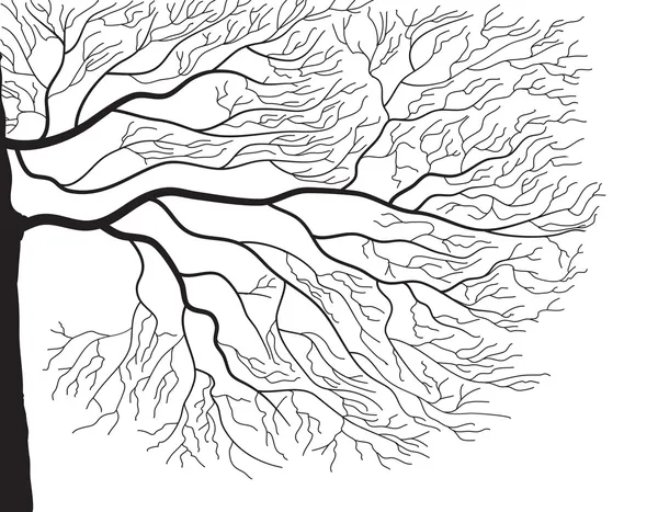 Silueta stromu na bílém — Stockový vektor