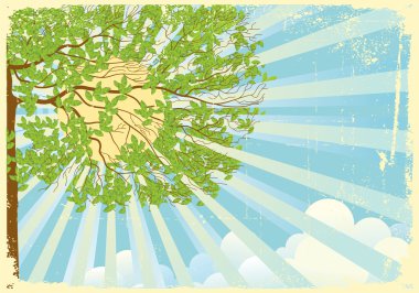 Tree landscape with sun rays and clouds clipart