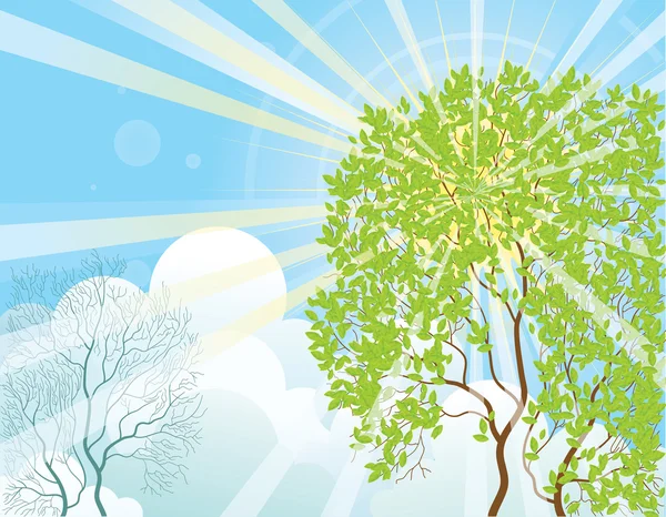 Rayos de sol y árbol — Archivo Imágenes Vectoriales