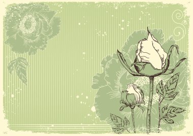 flowers grunge postcard with peonies clipart