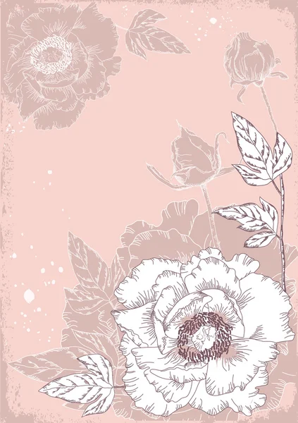 Carte postale fleurs avec pivoines — Image vectorielle