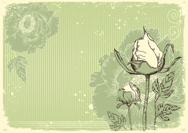 Blumen Grunge Postkarte mit Pfingstrosen — Stockvektor