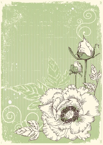 Flores grunge cartão postal com peônias —  Vetores de Stock