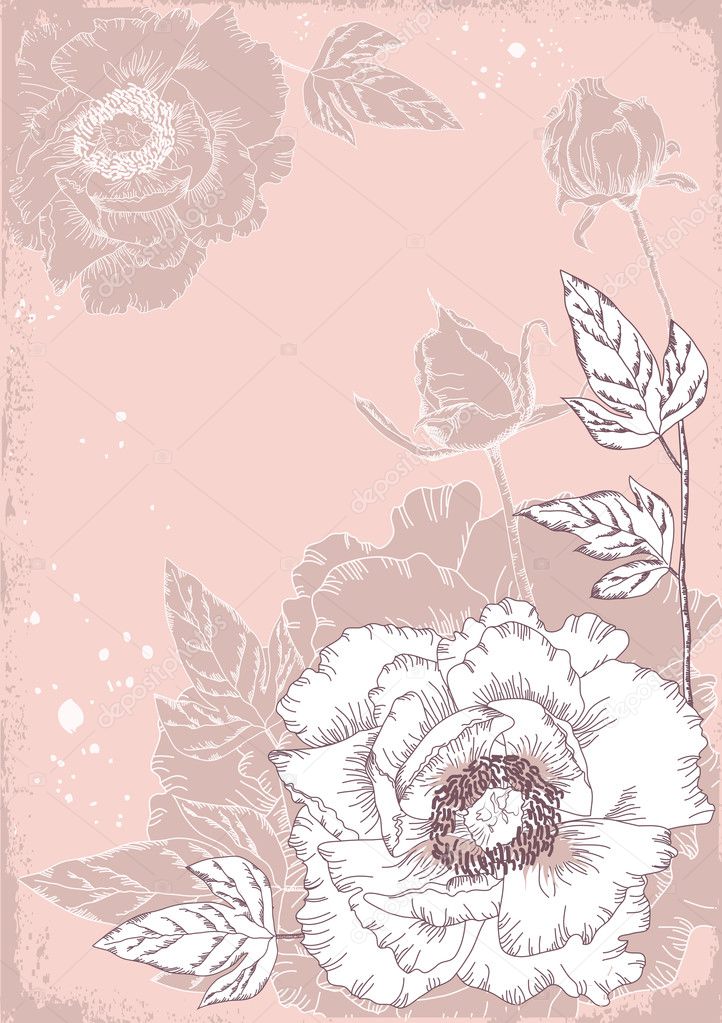 flowers postcard with peonies