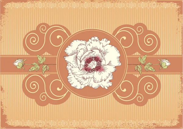 Blumen Postkarte mit Pfingstrosen — Stockvektor