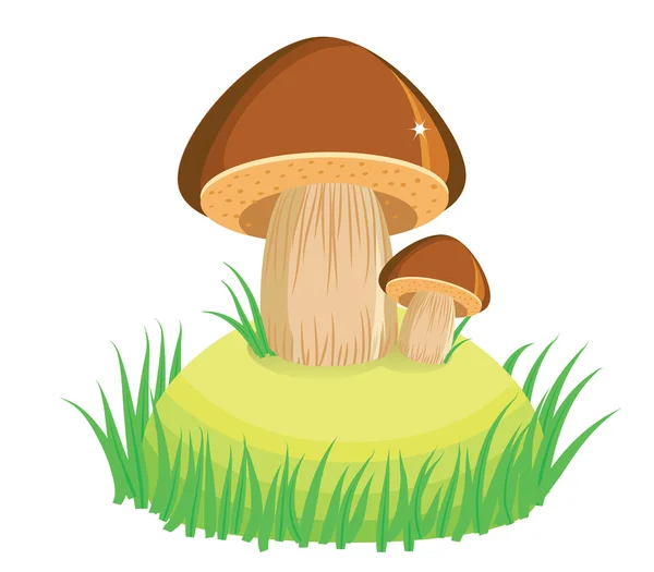 stock vector mushrooms in raining day.Vector cartoon background