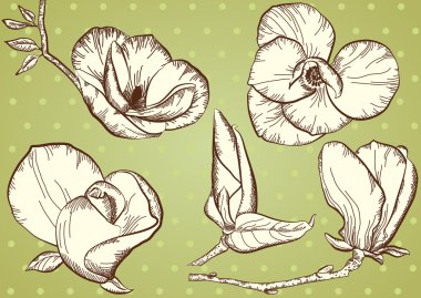 Flowers. clipart