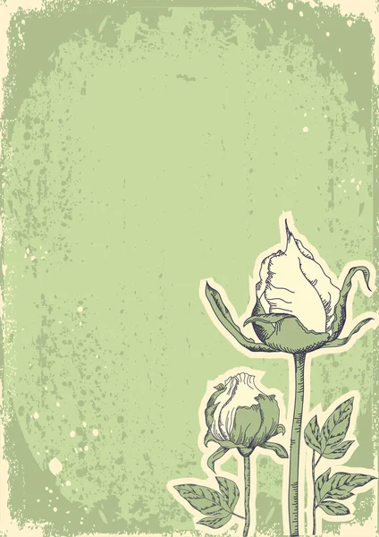 Vintage carte postale florale pour design.Vector grunge image — Image vectorielle