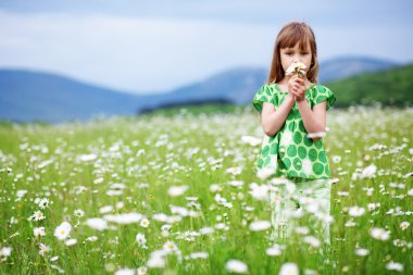 Child at camomile field clipart