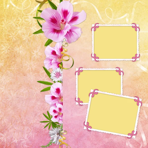Zomer achtergrond met frame en bloemen — Stockfoto