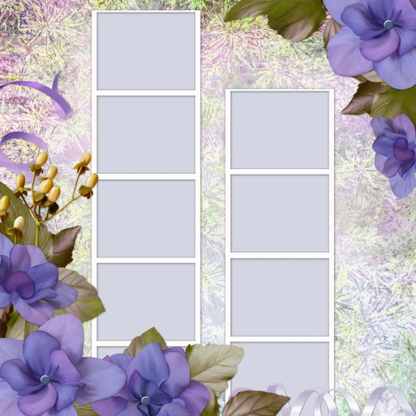 Letní pozadí s rámem a květy — Stock fotografie