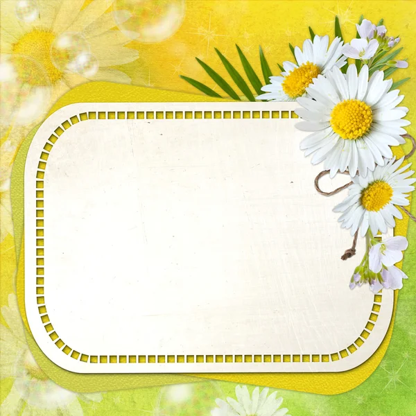 Summer greeting card — Stock Photo, Image