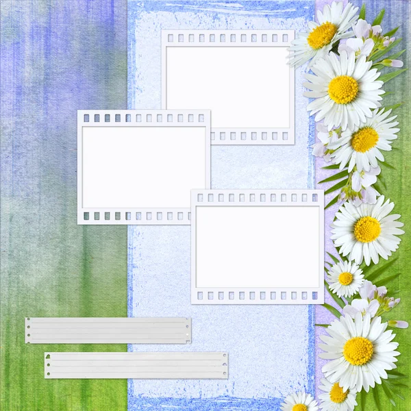 Fond d'été avec cadre et fleurs — Photo