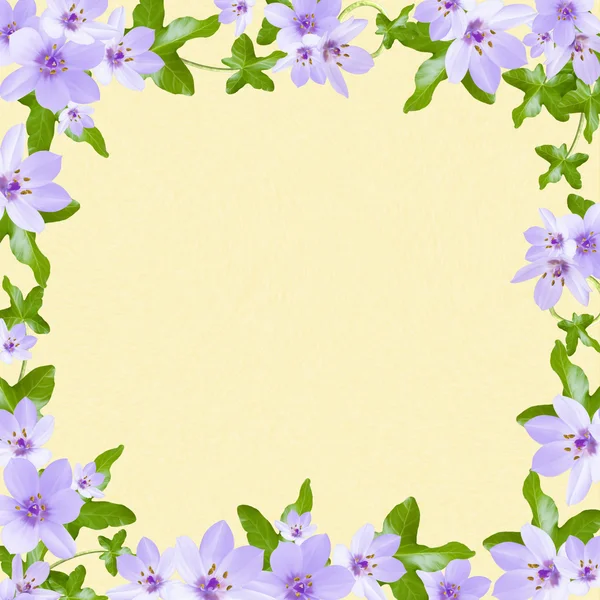 Tarjeta de felicitación floral con lugar para su texto — Foto de Stock