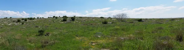 Medelhavet hills landskap under våren — Stockfoto