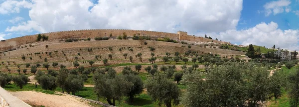 Πανόραμα της κοιλάδας του kidron στην Ιερουσαλήμ — Φωτογραφία Αρχείου