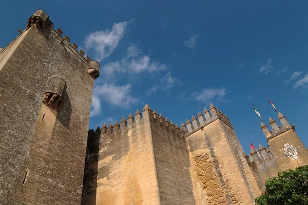 Almodovar del rio középkori vár, Spanyolország — Stock Fotó