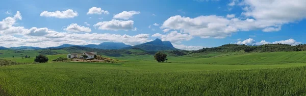 Rural Spanish landscape — Stock Photo, Image
