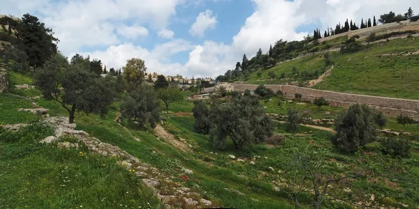 Долина Геенны (Хиннома) возле Старого города в Иерусалиме Стоковое Фото