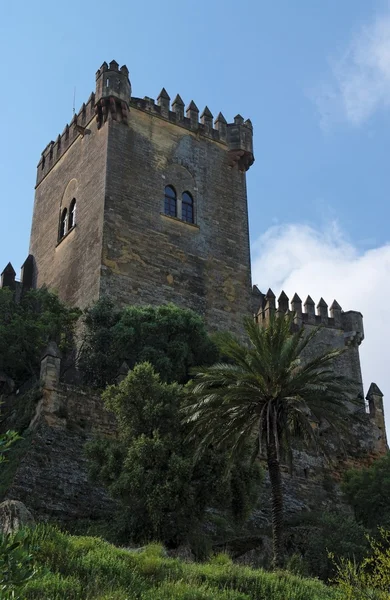 Věž Almodóvar del rio středověký hrad ve Španělsku — Stock fotografie