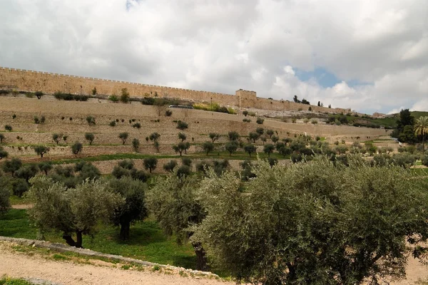 Widok na dolinę kidron i Świątynnym w Jerozolimie — Zdjęcie stockowe