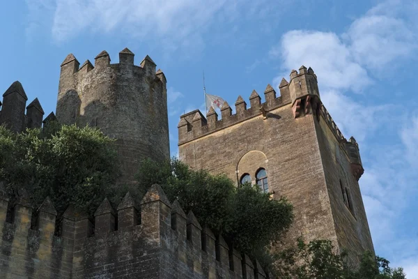 Almodóvar del Río średniowiecznego zamku w Hiszpanii — Zdjęcie stockowe