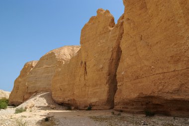 Çöldeki taş duvar.