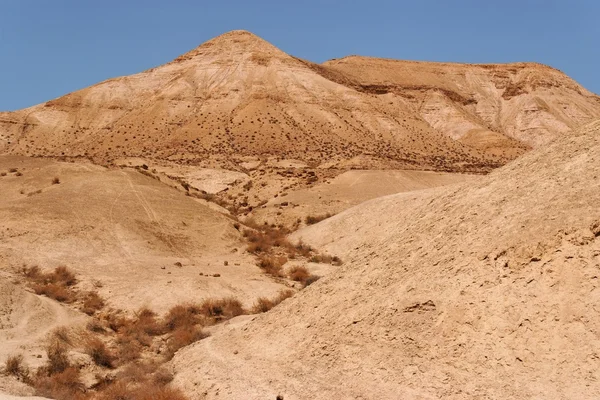 Suchego potoku na kamiennej pustyni w pobliżu Morza Martwego — Zdjęcie stockowe