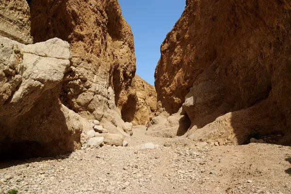 Помаранчевий пустелі Каньйон — стокове фото