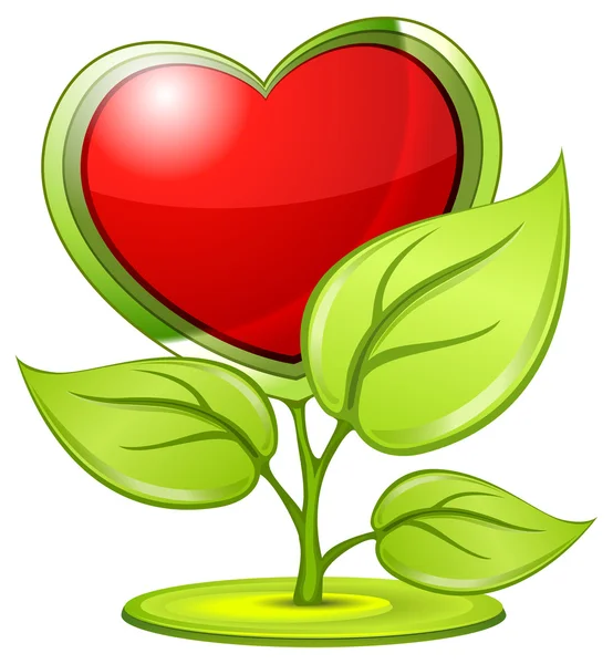 Plante d'amour — Image vectorielle