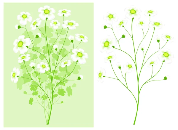 Ramo verde con fiori bianchi — Vettoriale Stock