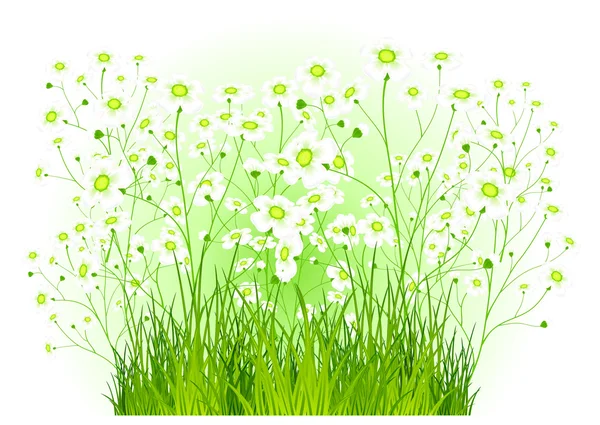 Zielony krzew o białych kwiatach — Wektor stockowy