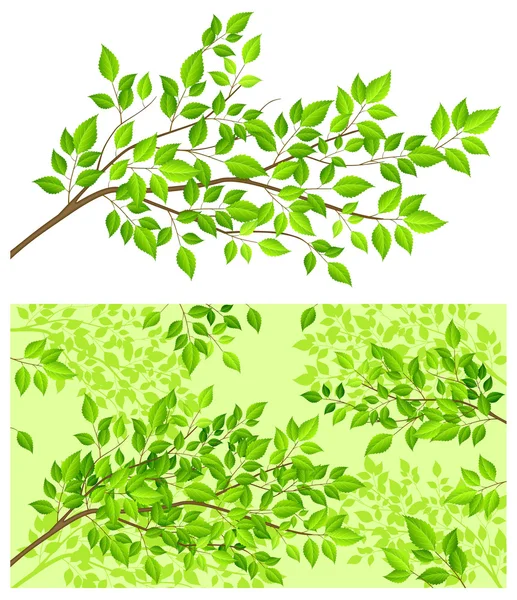 Rama de árbol con hoja verde — Archivo Imágenes Vectoriales